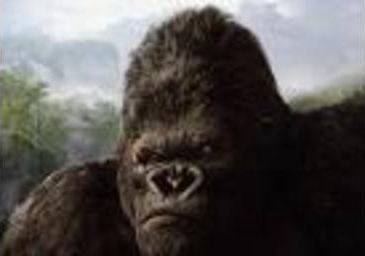 KingKong picture