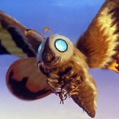 Mothra picture