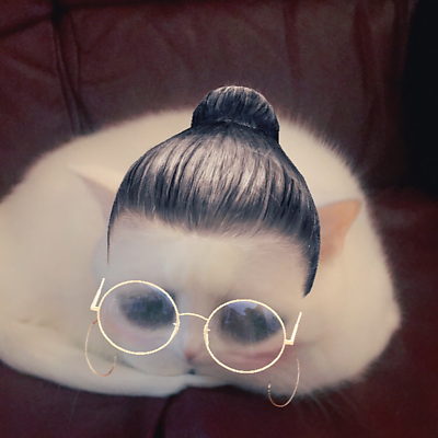 shrinkingharpy picture