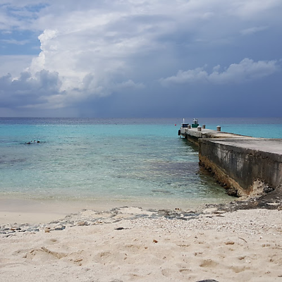 theguyintherye picture