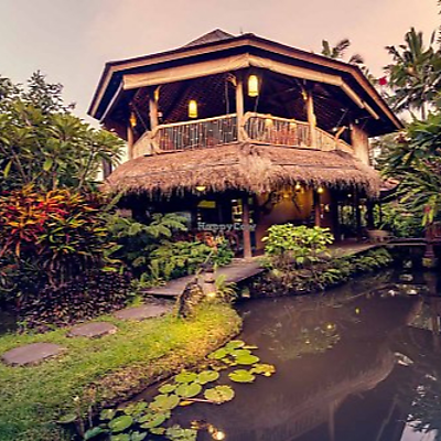 dragonflycafe picture