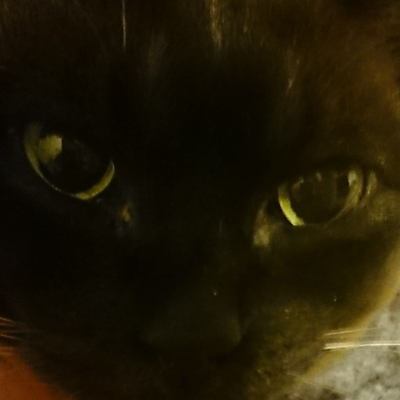 SarahEveMatthews picture