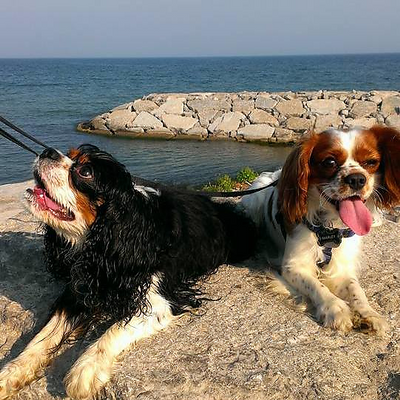 ZuzanaTatran-Channon picture