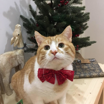 Jaime-LouiseRoberts picture