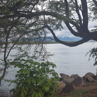 JewelFindley picture