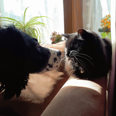 AshleighMathieson picture