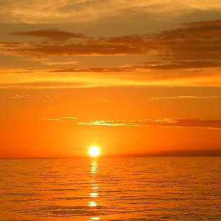 JosepCasalls picture