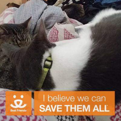 MadelineEllis picture