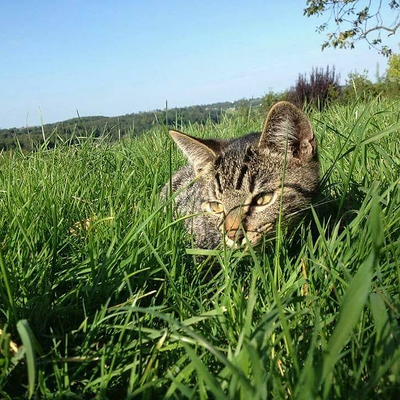 CharlotteNalandco picture