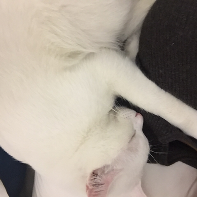 CiaraClovefield picture