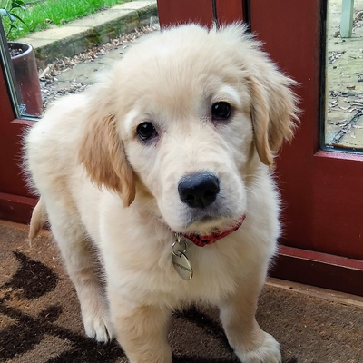 IsabellePayne picture