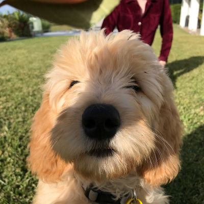 georgiaschampers picture