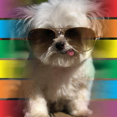 NoemiSanchez picture