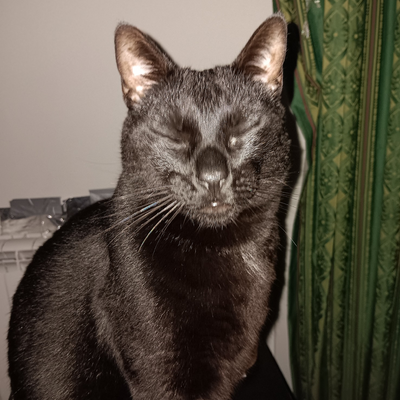 ClaraAlmeida picture