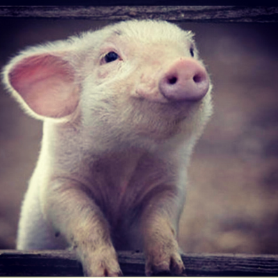 DaniellaSymington picture