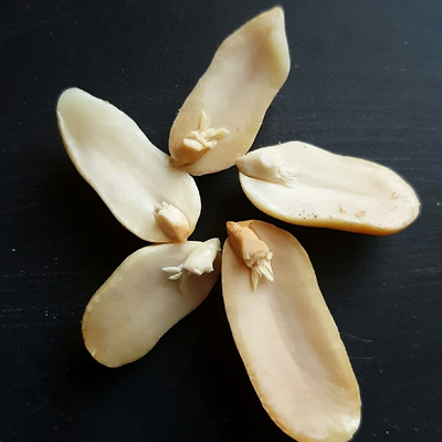 Garlic&YumYums picture
