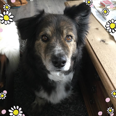 CathrineJensen picture