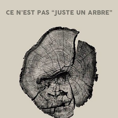 BénéeDicte picture