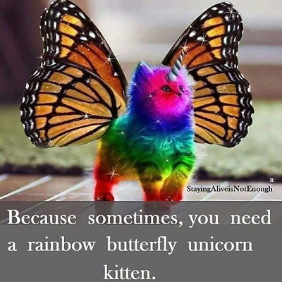 DeniseBrettell picture