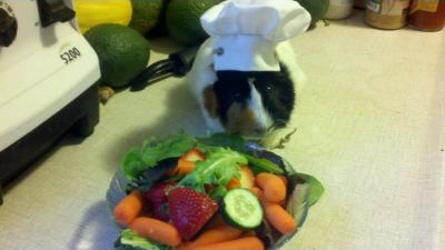 Karmic Vegan picture