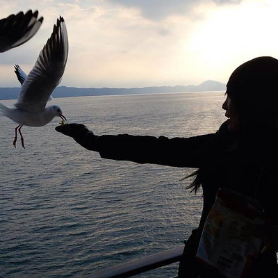 MahoWilliams picture