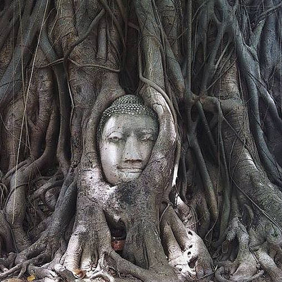 RobertBernardo picture