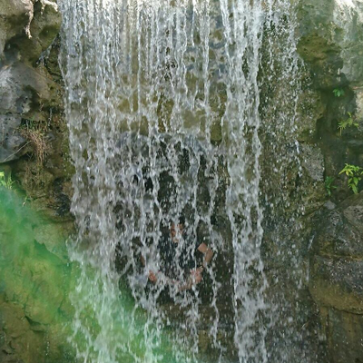 DaYu picture