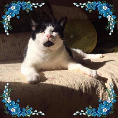 AysheAugustine picture