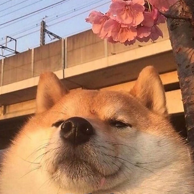 AlbertTheSlayer picture