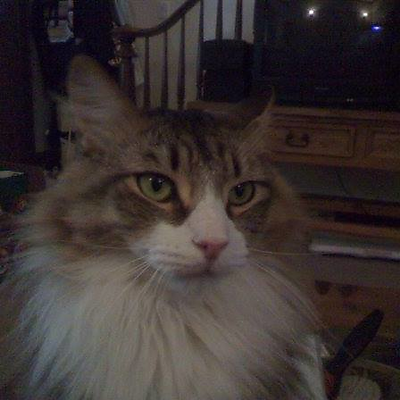 HeatherMasker picture