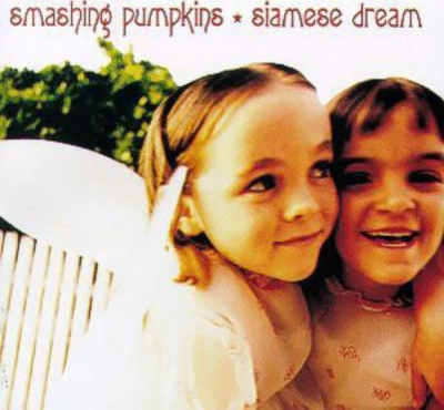 SarahGladdon picture