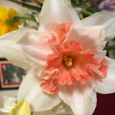 GeraldineLee picture