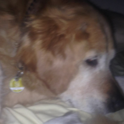 ChiaraReinhold picture