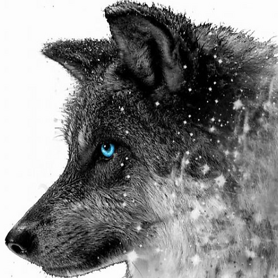 WildWolf picture