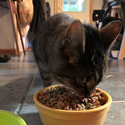 KateAustin-Avon picture