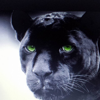 LukaszSmerkowski picture