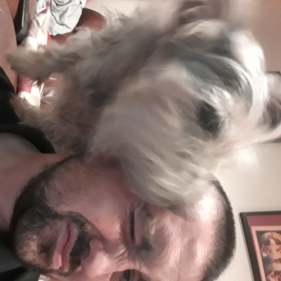 Numptybollox picture