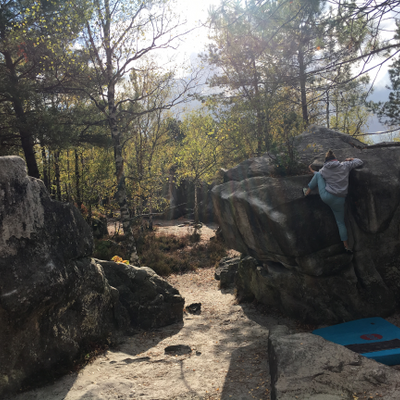 gonzojournalismus picture