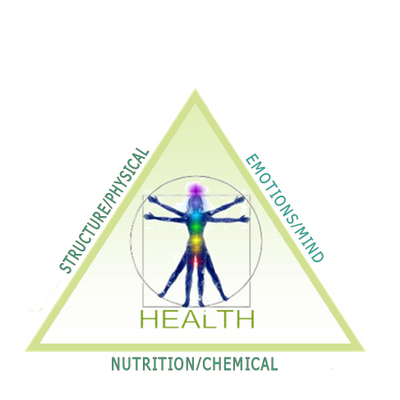 kauaiholistics picture