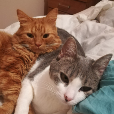 arcneverhide picture