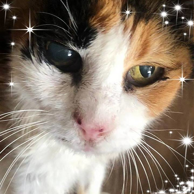 PaolaSerafina picture