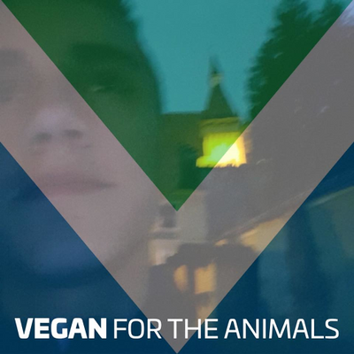 DragomirAndrei picture