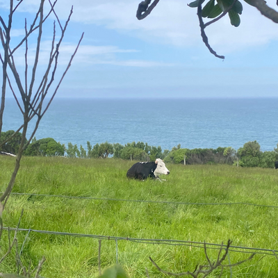 KristalWallace picture