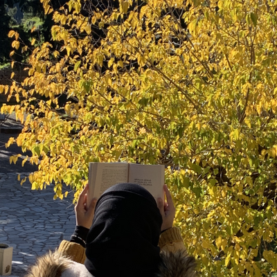 LunasVeganDream picture