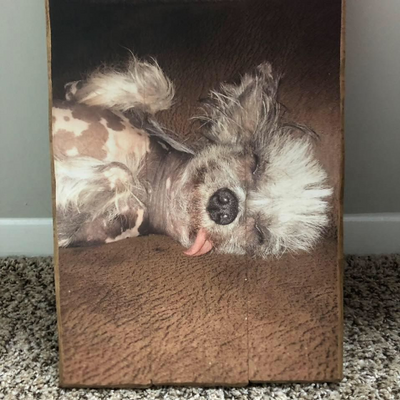 MariaCardona picture