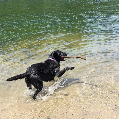 CathyPaisley-Currie picture