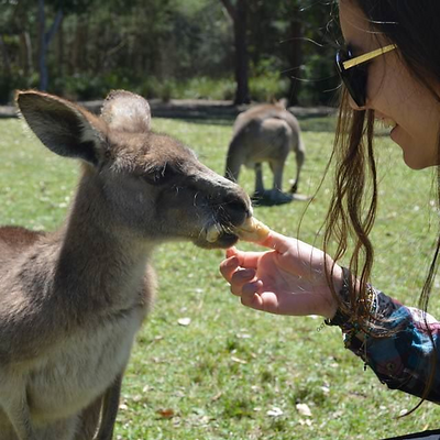 IsabellaGomezGrisales picture