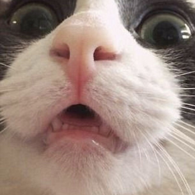 slippergirl04 picture