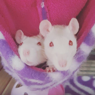 BethWilliamson picture