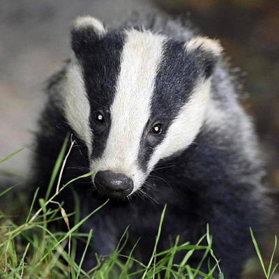 MarinaClaessens picture